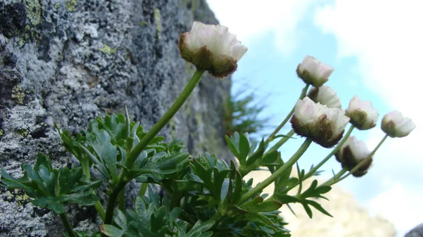 Źródło: dr hab. Bogdan Jaroszewicz, UW