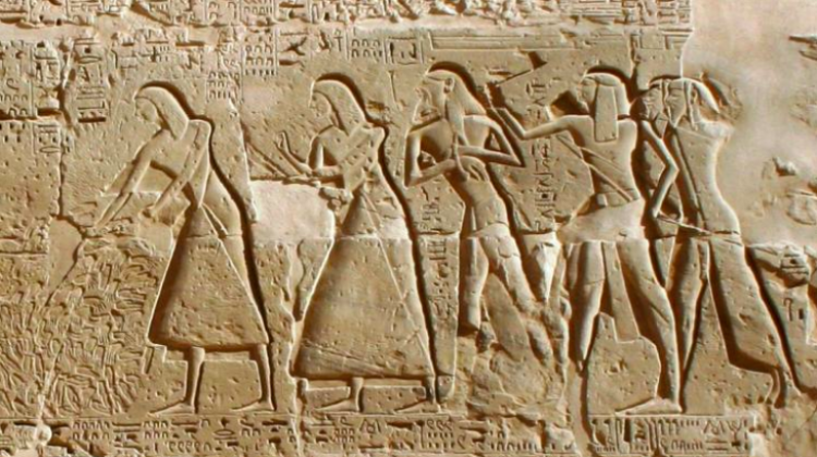 Egyptologist The Life Of Slaves In Egypt Was Not As Hard As We