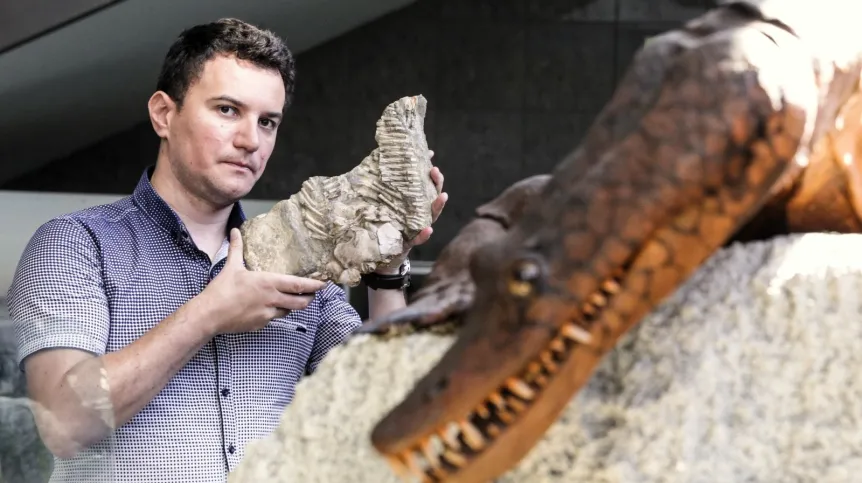 Paleontolog Dawid Surmik prezentuje na Uniwersytecie Śląskim fragment szkieletu proneustikozaura, morskiego gada sprzed 245 milionów lat odkrytego na przełomie XIX i XX wieku w Gogolinie. Fot. PAP/Dominik Gajda 07.06.2018