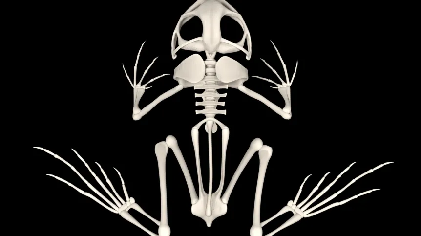 Fot. Fotolia