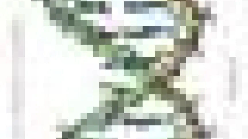 270px-DNA_Overview.png