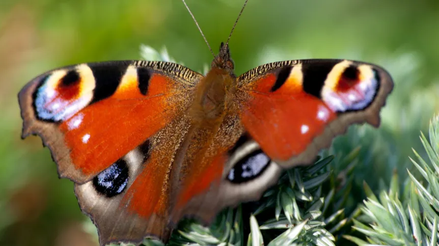 Fot. Fotolia