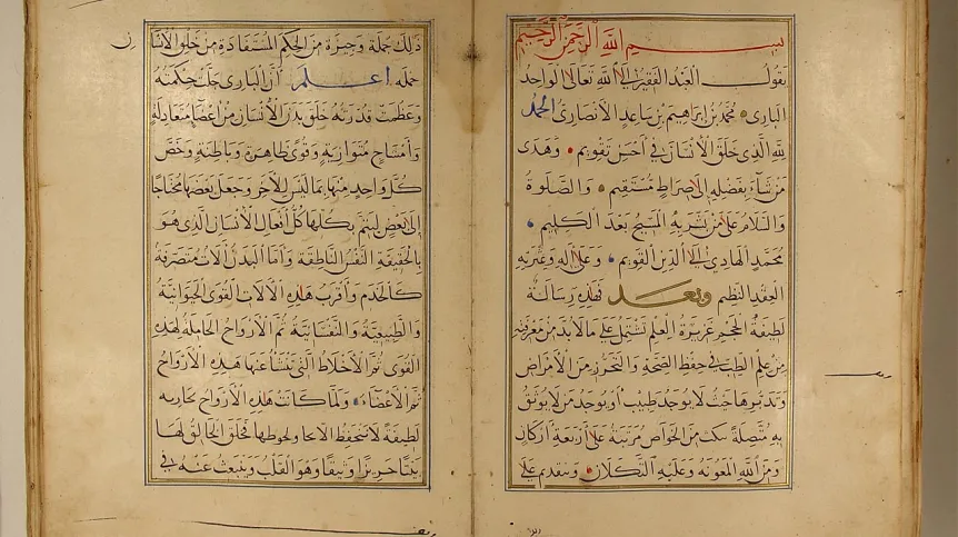 Stronice jednej z kopii dzieła Ibn al-Akfaniego w bibliotece Ghazi Husrev-beg w Sarajewie, fot. P. Lewicka