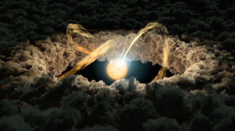 Artist's concept of a protoplanetary disk surrounding a young star. Source: NASA/JPL-Caltech.
