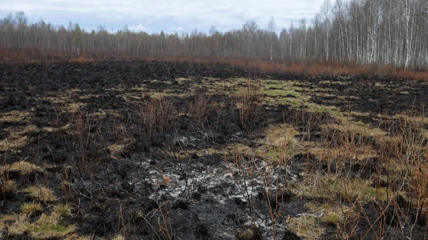 Wroceń, 25.04.2020. Dogaszanie pożaru w BPN w pobliżu wsi Wroceń, (ar/awol) PAP/Artur Reszko