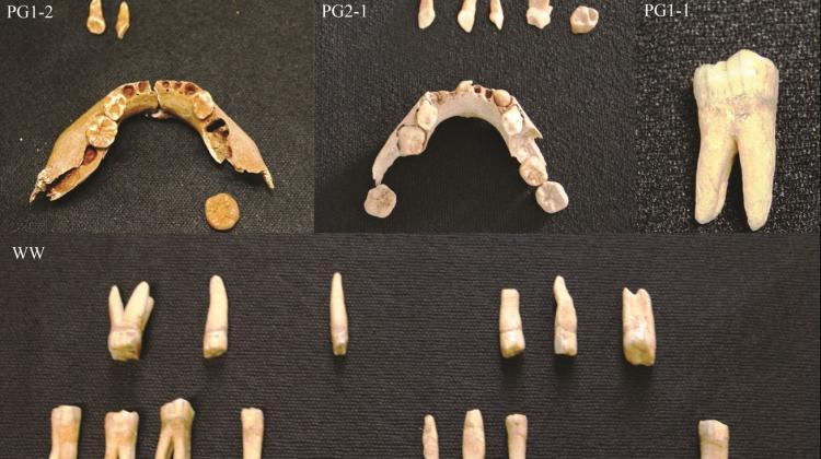 Mesolithic remains from north-eastern Poland, credit: J. Tomczyk