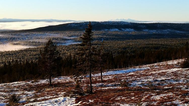 The Scandinavian Mountains Green Belt, credit: Grzegorz Mikusiński, more photos below the text
