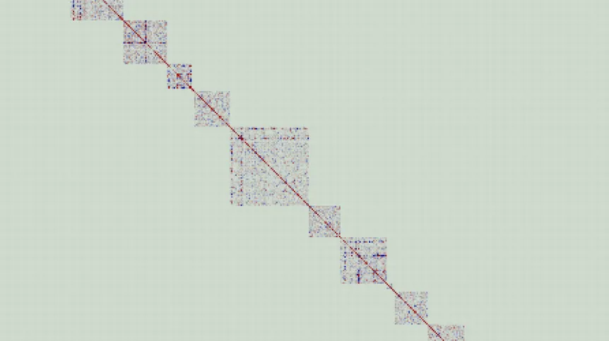 Polskim matematykom udało się rozwiązać nierozwiązany od kilku dekad  problem z zakresu geometrycznej teorii grup. W pracy wspomógł ich komputer. Jego zadaniem było szukanie macierzy o określonych parametrach. Na rysunku - znaleziona przez komputer macierz 4641x4641, przedstawiona w formie graficznej - zielone punkty to 0, a kolor i jego natężenie odpowiada wartości absolutnej danego współczynnika macierzy.  Źródło:  M. Kaluba, D. Kielak, P. Nowak, Annals of Mathematic