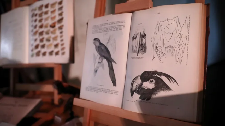 , 11.05.2022. Uroczystość przekazania przez Haus der Natur w Salzburgu kolekcji okazów zoologicznych i książek do zbiorów Muzeum i Instytutu Zoologii PAN, 11 bm. w Arkadach Kubickiego Zamku Królewskiego w Warszawie. PAP/Tomasz Gzell