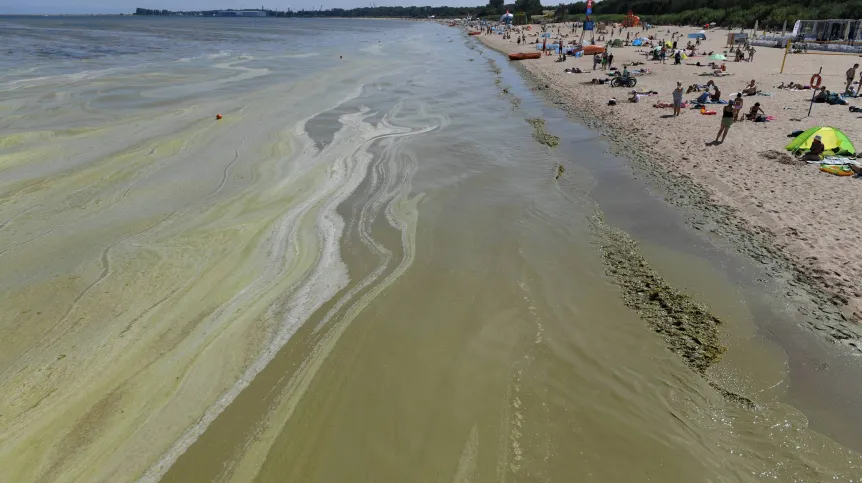 Brzeźno, 24.07.2018. (aw/pkus) PAP/Adam Warżawa