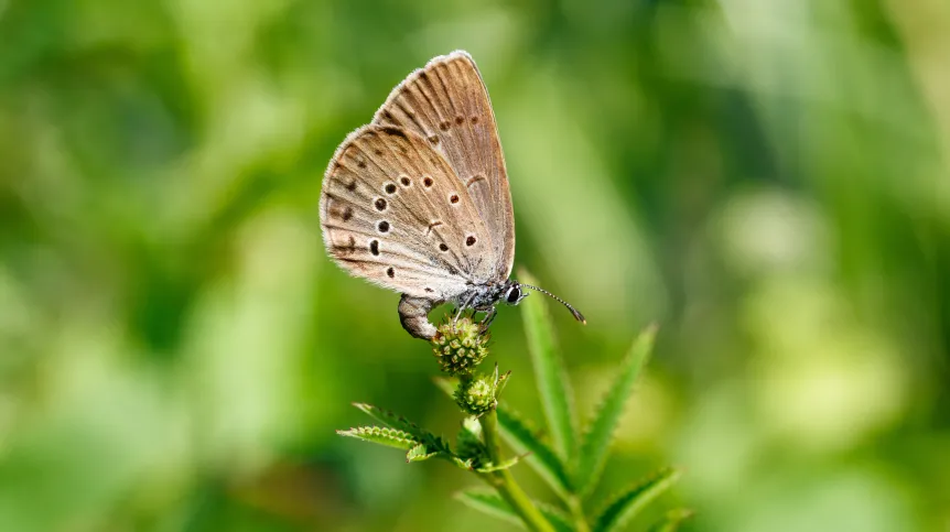 źródło: Adobe Stock