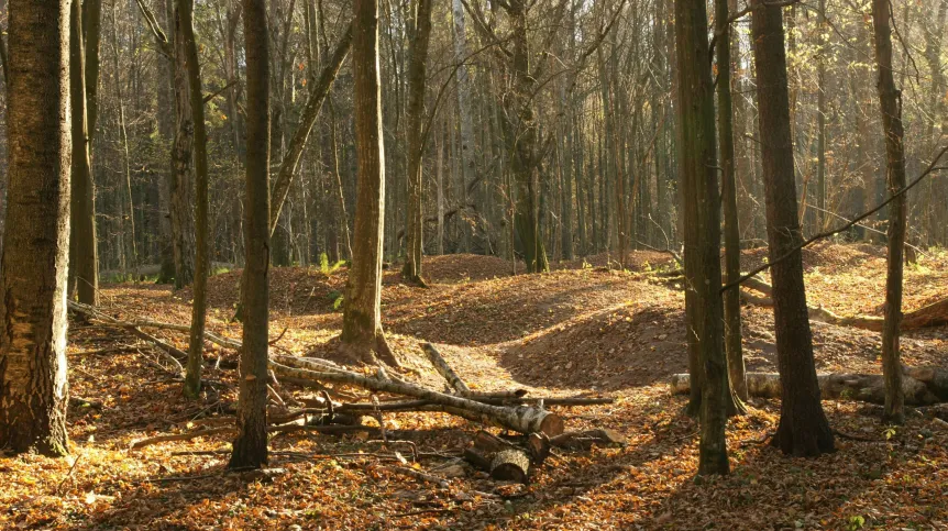 5. Wczesnośredniowieczne cmentarzysko kurhanowe w uroczysku Szczekotowo. Jesień 2014 r. Fot. D. Krasnodębski