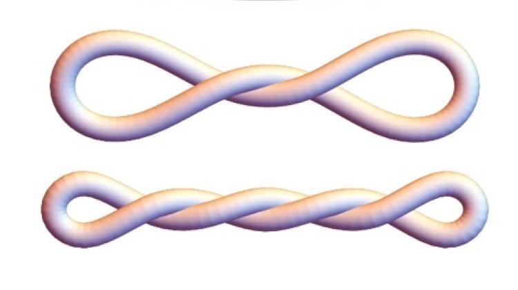 Self-touching shapes of DNA loops as predicted by the model for increasing supercoiling density (top to bottom). When the DNA is twisted more and more, its shape becomes increasingly compact. Credit: Radost Waszkiewicz