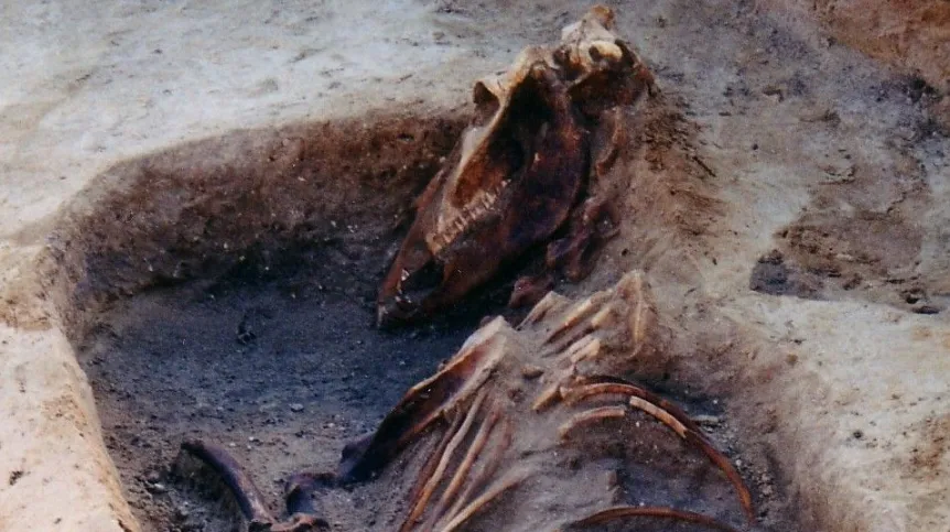 Fot. archiwum prywatne Maciej Karczewski 