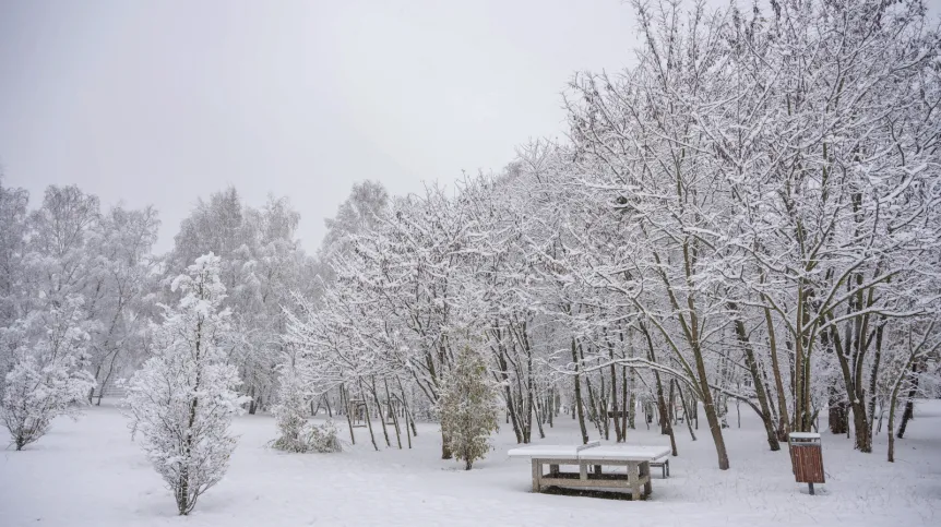 26.11.2025. Śnieg w Poznaniu. PAP/Jakub Kaczmarczyk