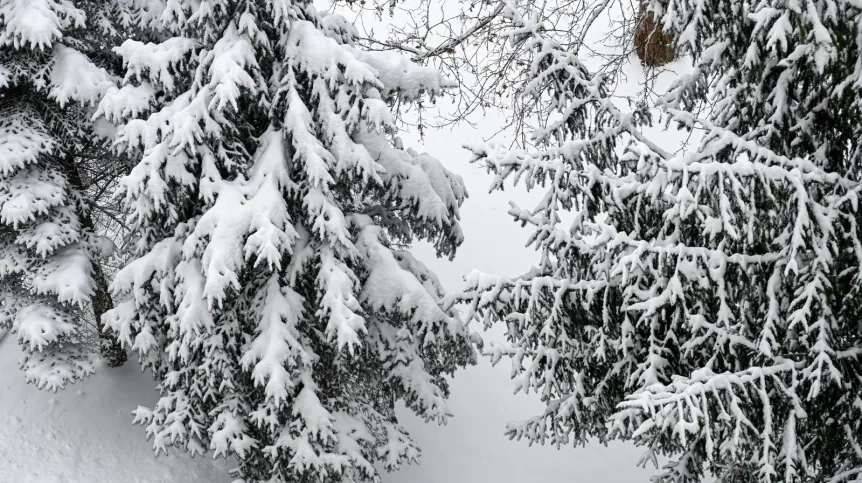 07.01.2026. PAP/Darek Delmanowicz