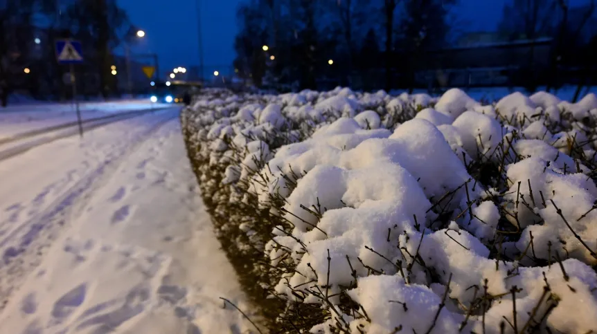 11.01.2026 PAP/Piotr Polak