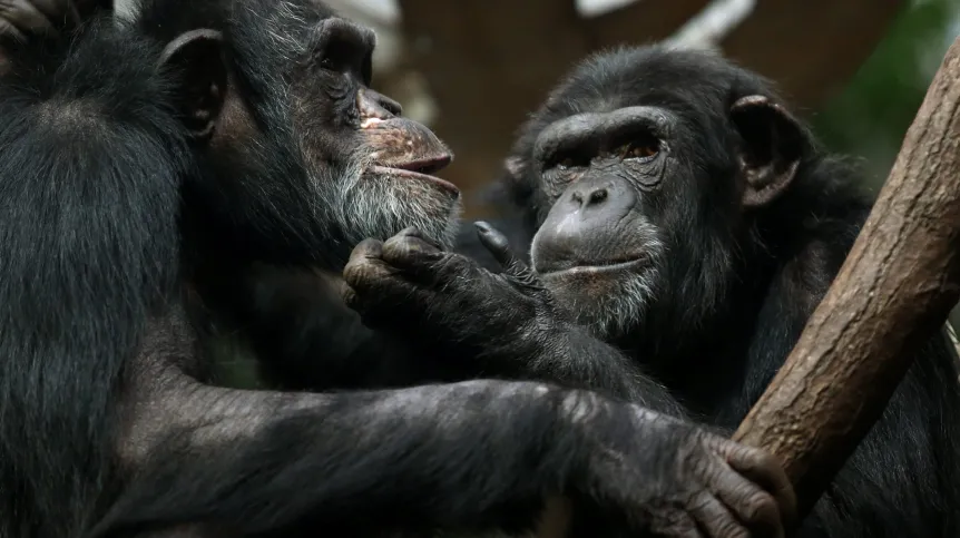 16.01.2014 PAP/Tomasz Gzell