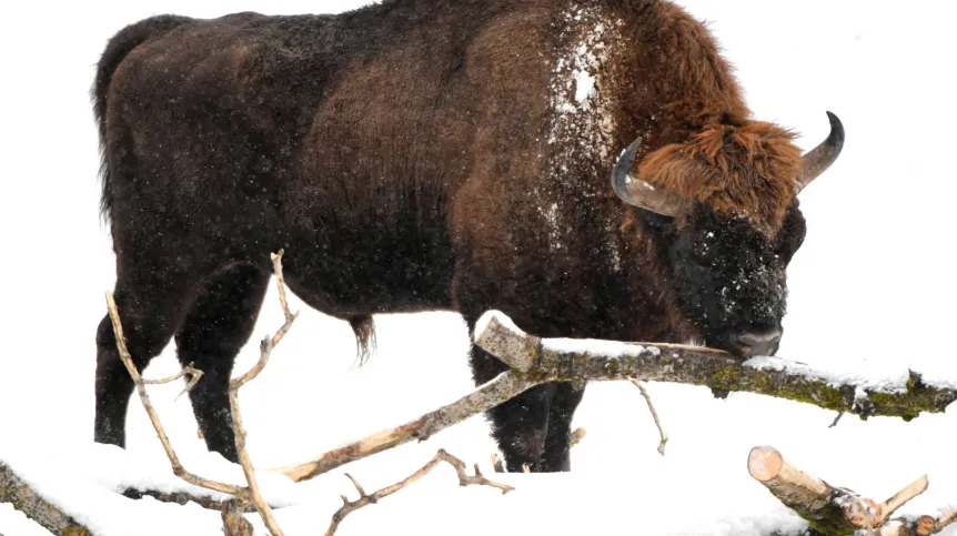 30.12.2018 PAP/Darek Delmanowicz