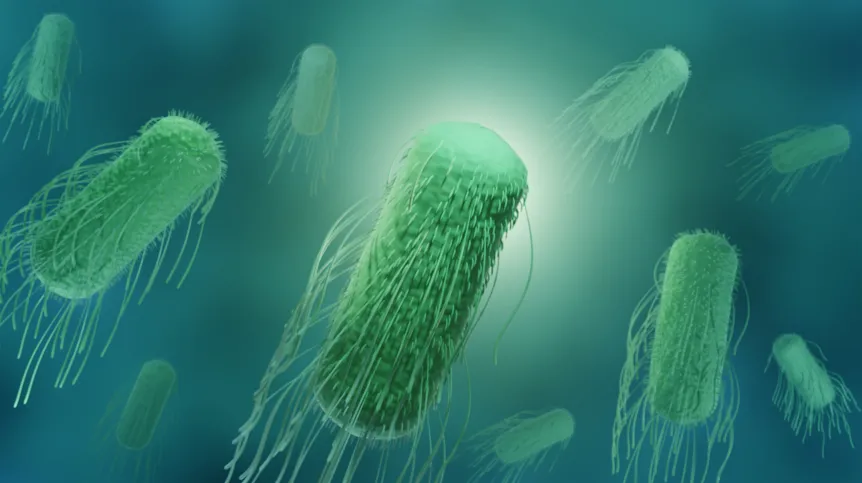 Fot. Adobe Stock