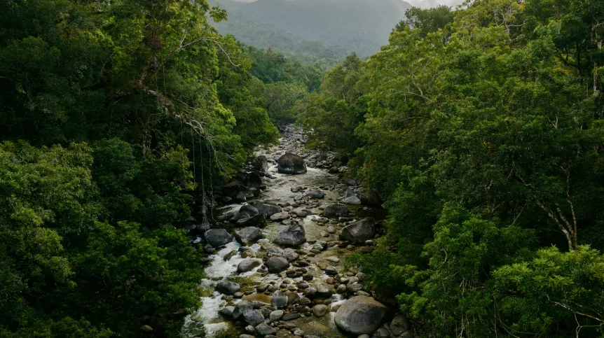 Fot. Adobe Stock