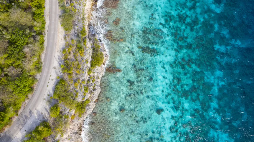 Fot. Adobe Stock