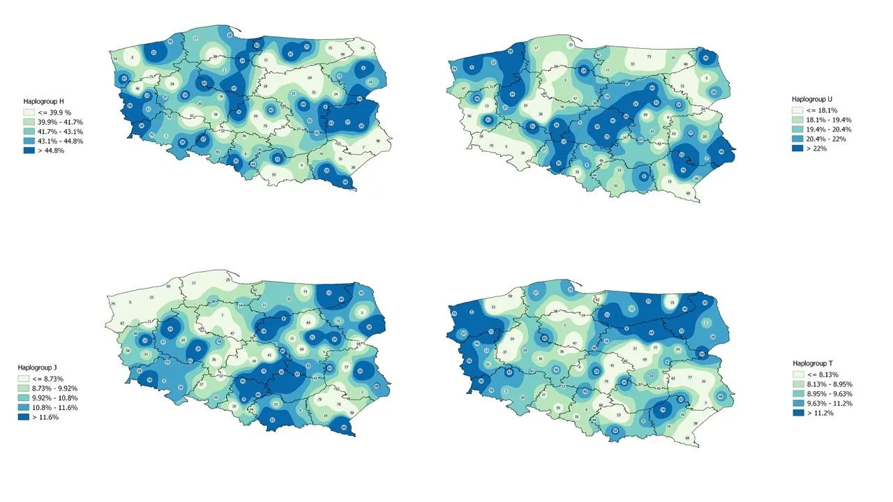 Rozkład haplogrup na terenie Polski: źródło Pracownia Biobank UŁ  