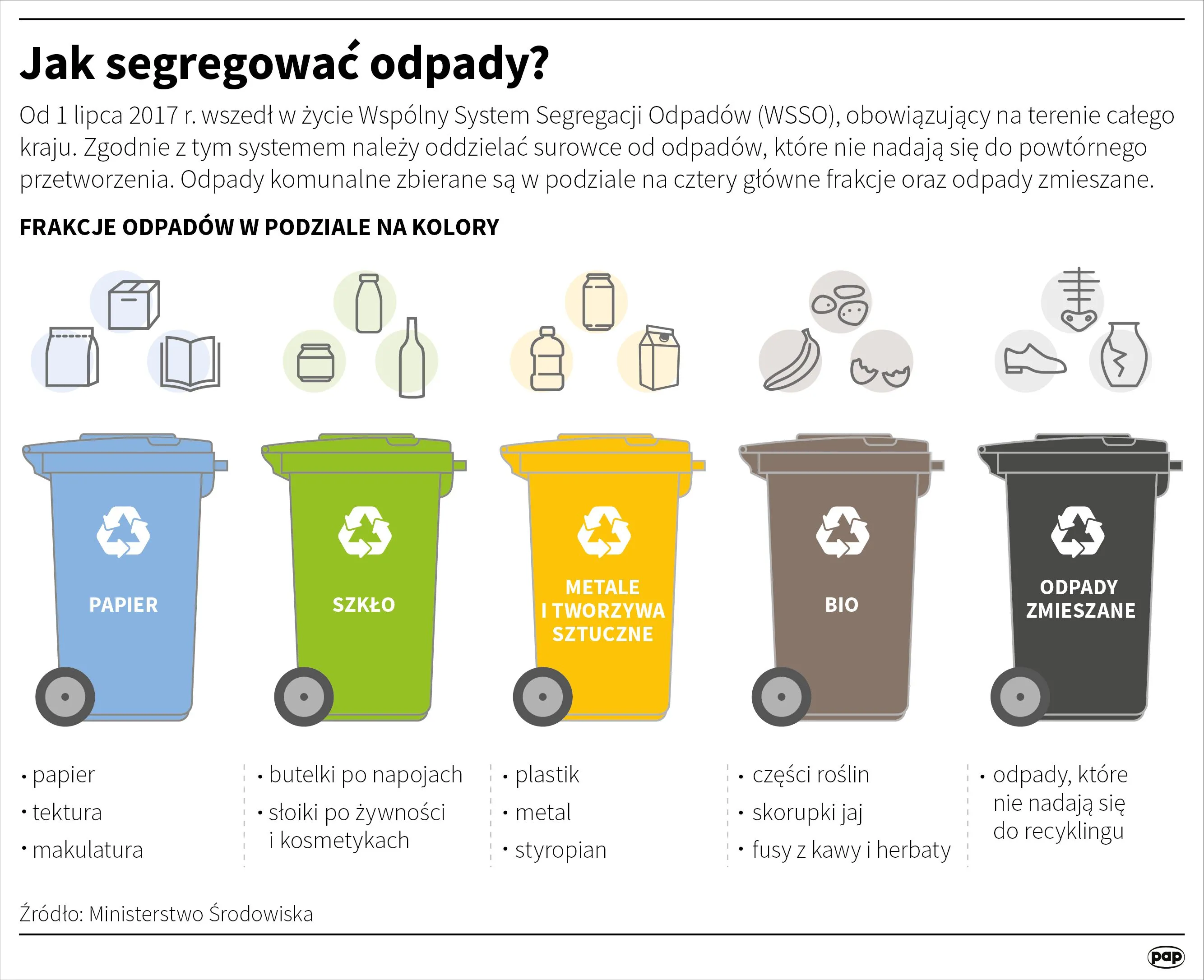 Zasady segregacji odpadów. Źródło: Infografika PAP