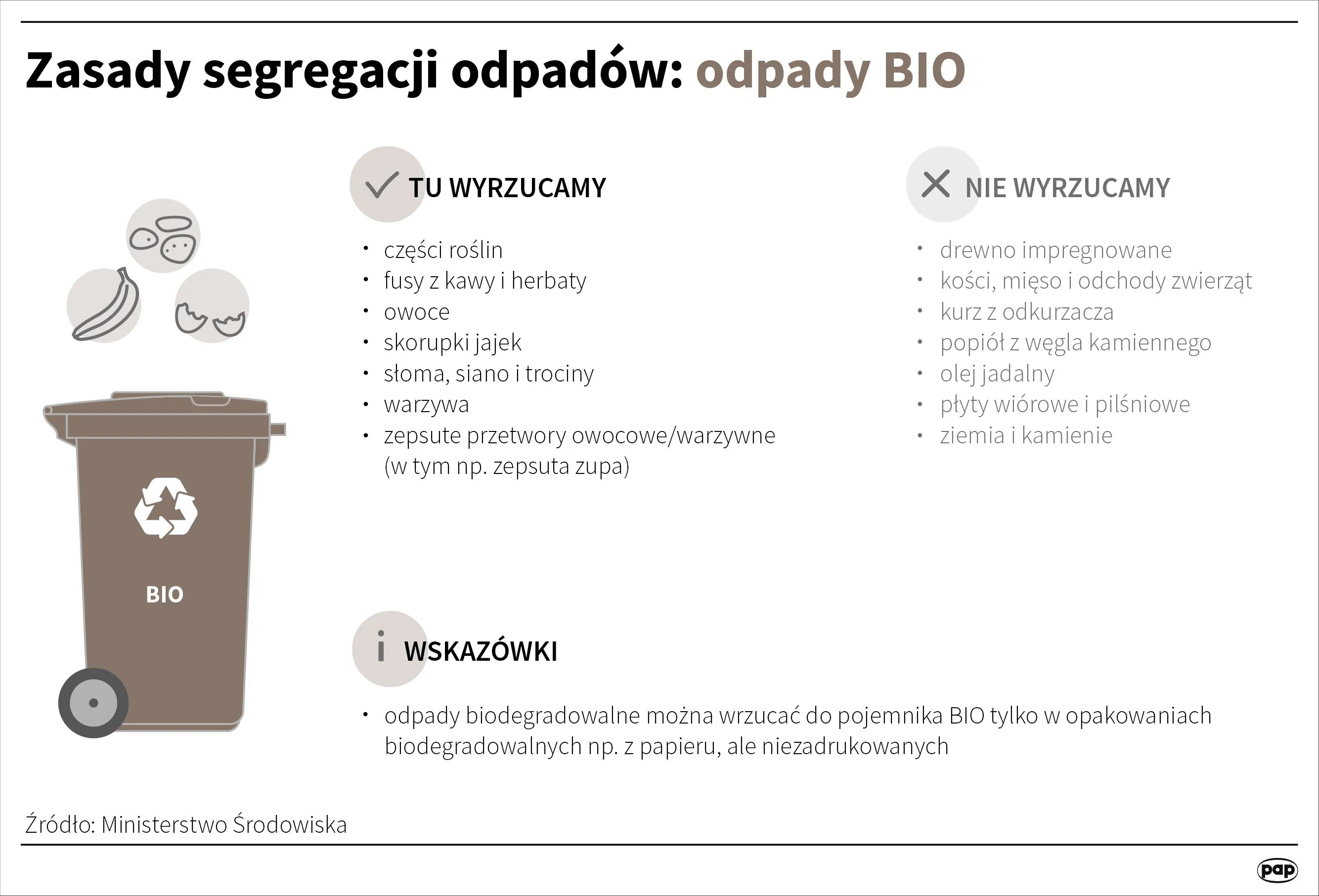 Zasady segregacji odpadów: Bio. Źródło: Infografika PAP