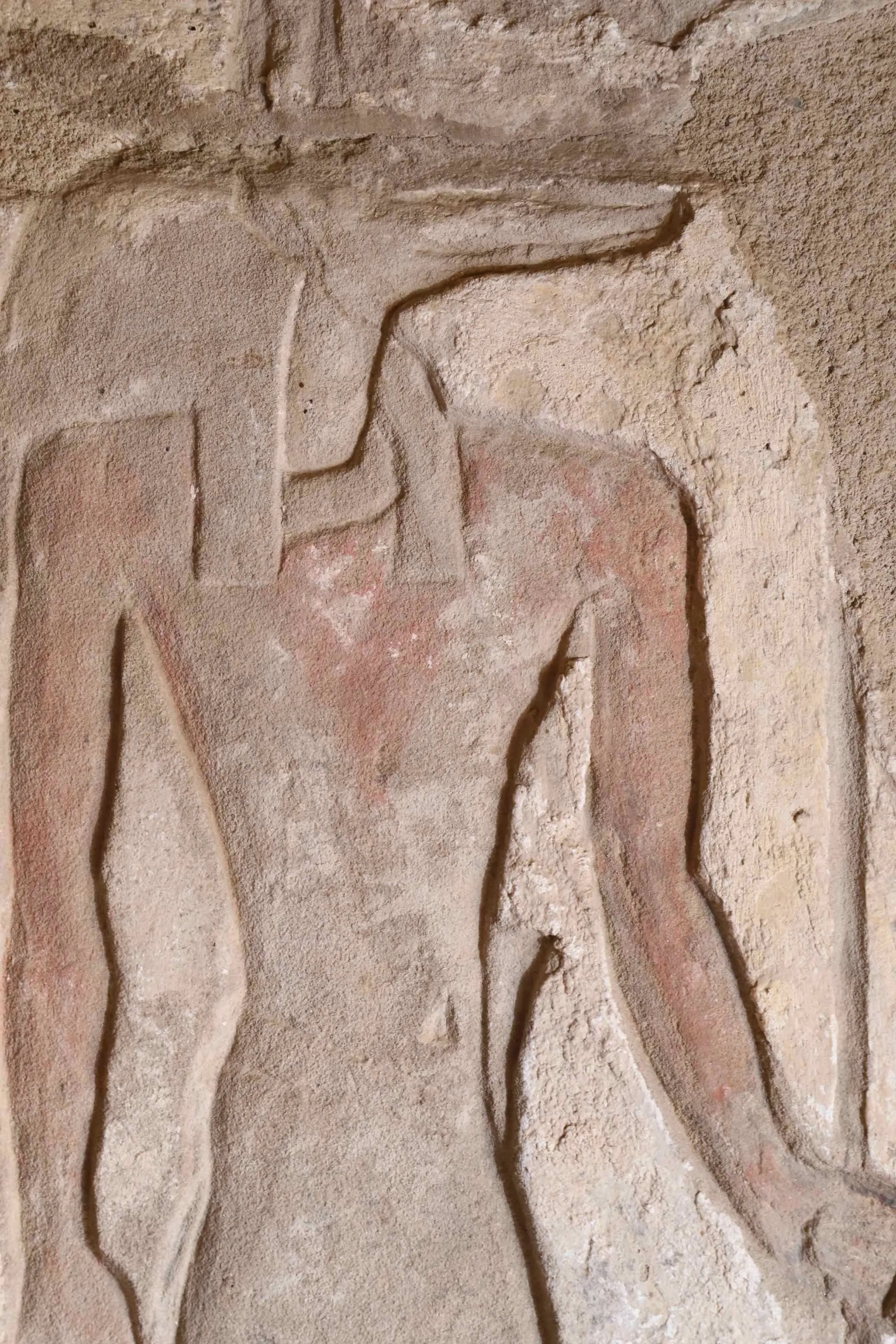 Wyobrażenie boga Upuauta wewnątrz badanej kaplicy; farby pokrywające płaskorzeźby się niemal niewidoczne, fot. S. Rickerby