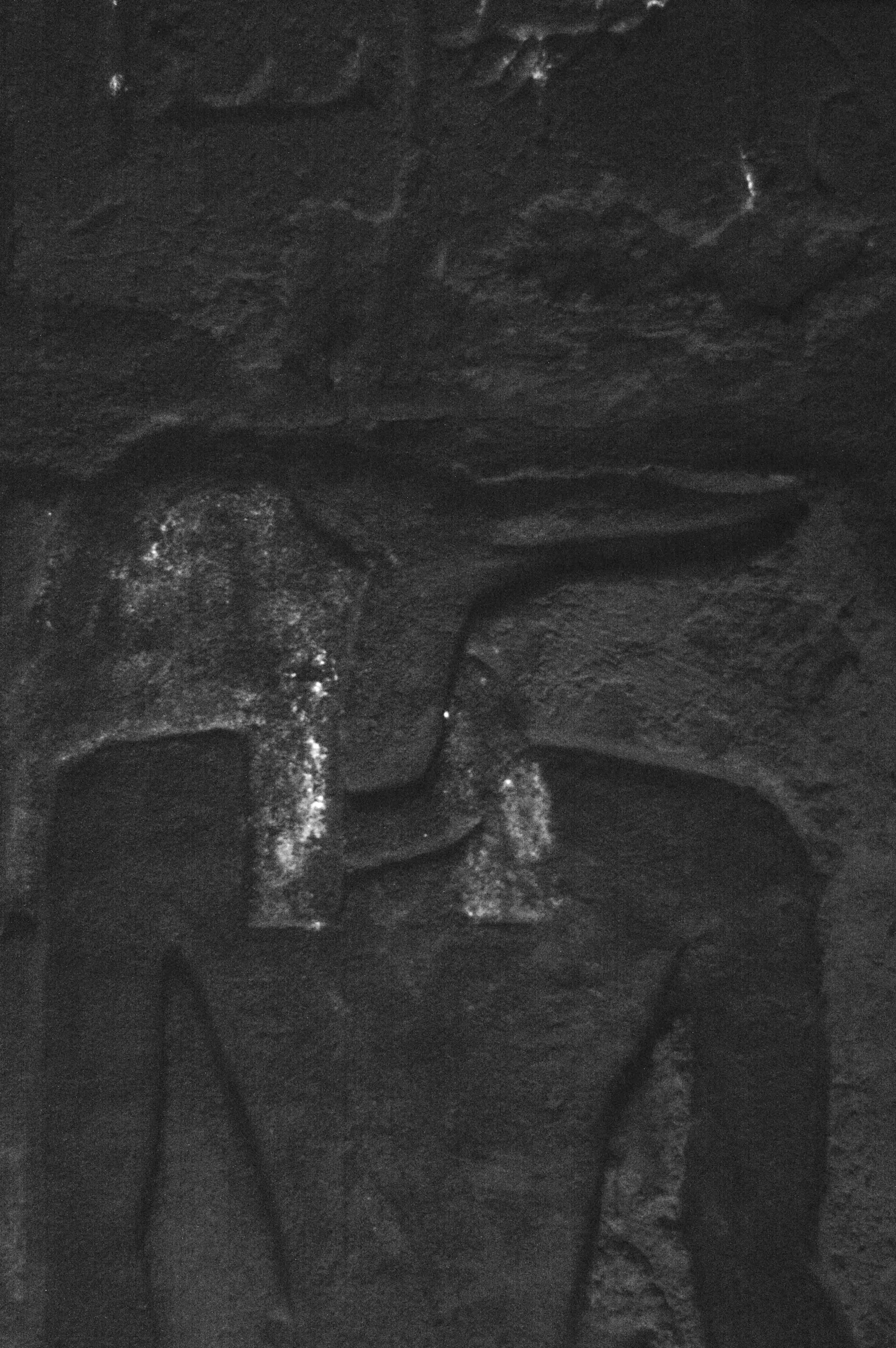 Zdjęce płaskorzeźby boga Upuauta z zastosowanie metody VIL, która umożliwia wykrywanie barwników, fot. S. Rickerby