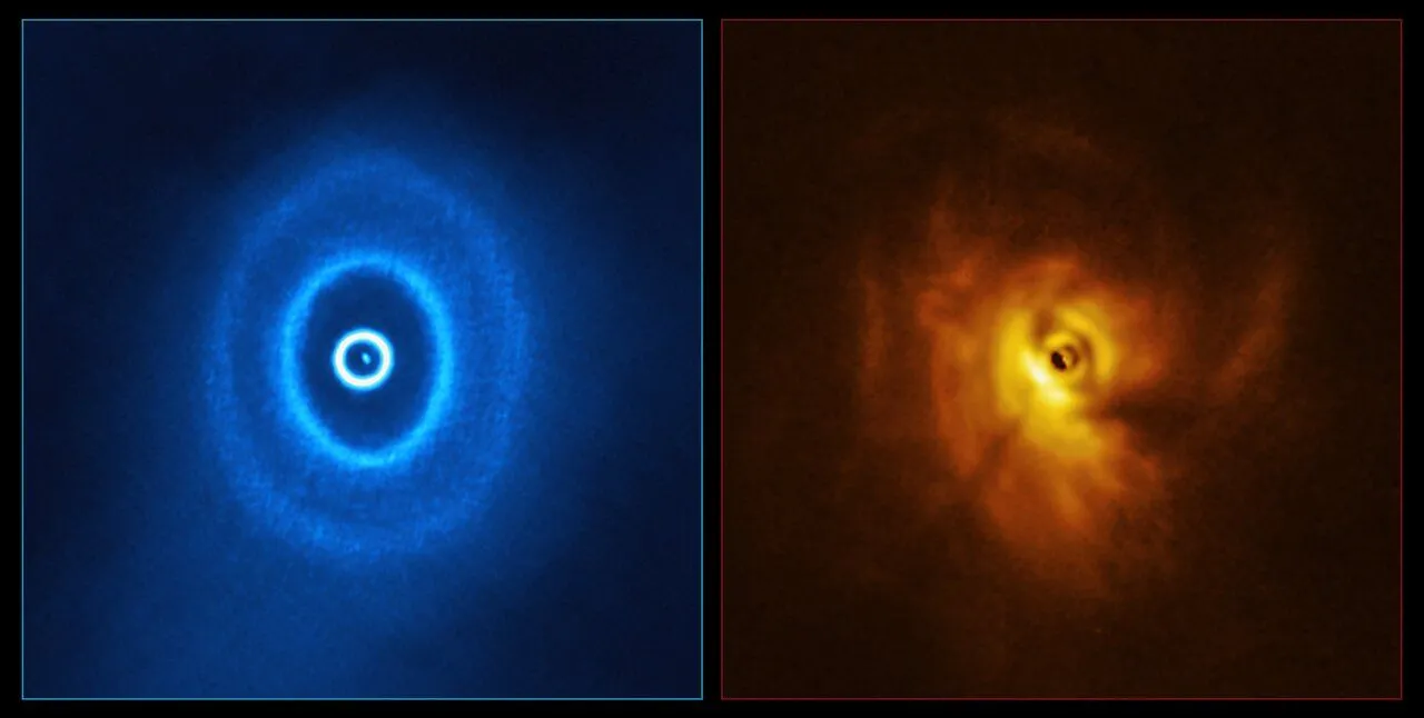 Obrazy dysku protoplanernergo w układzie GW Orionis. Po lewej obserwacje z sieci radioteleskopów ALMA, a po prawej z teleskopu VLT. Źródło: ALMA (ESO/NAOJ/NRAO), ESO/Exeter/Kraus et al.