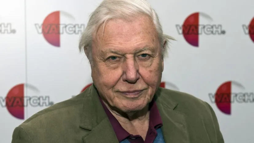 Fot. PAP/EPA/ WILL OLIVER 26.01.2015