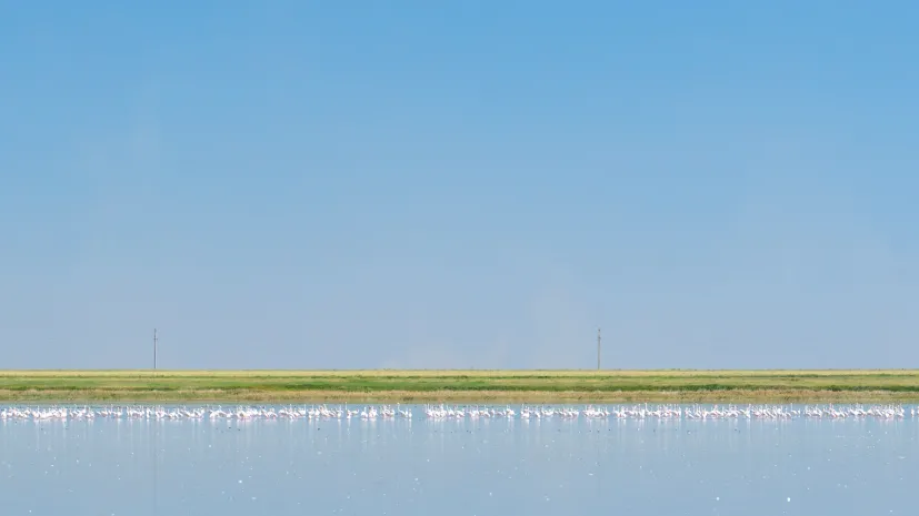 Korgałżyński Rezerwat Przyrody. Fot. Adobe Stock