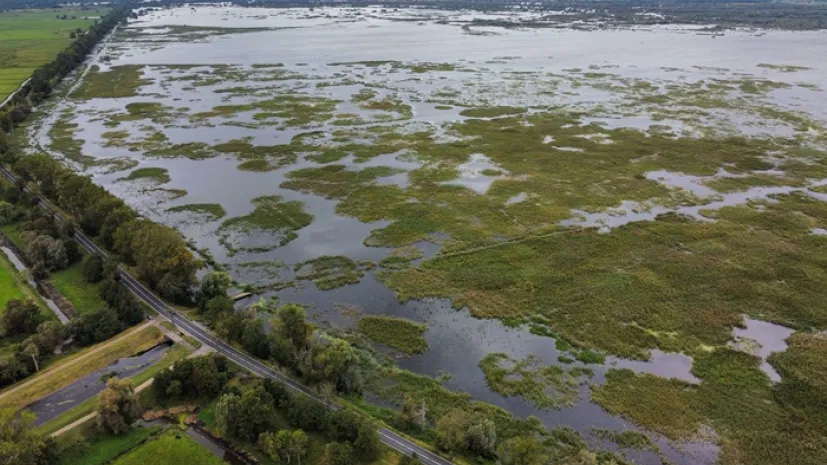 Wody Odry zalewają Park Narodowy „Ujście Warty” w Kostrzynie nad Odrą, 26 bm. który jest naturalnym terenem zalewowym o gigantycznej pojemności szacowanej na 150-200 mln metrów sześciennych wody. (ad) PAP/Lech Muszyński