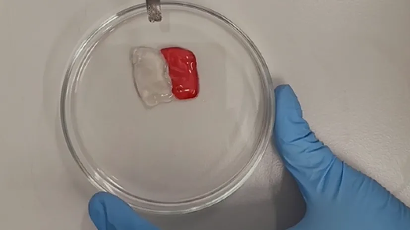 Fot. materiały prasowe