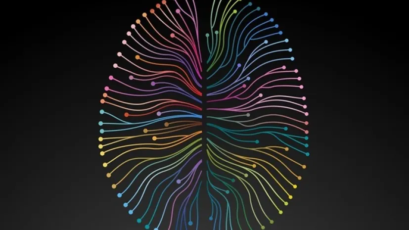 Adobe Stock