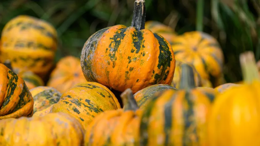 24.09.2024 PAP/Jakub Kaczmarczyk