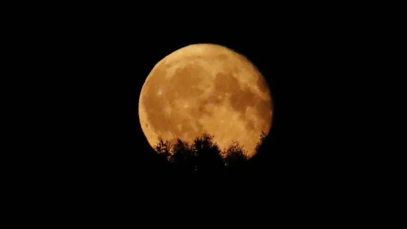 22.07.2024.  EPA/TOMS KALNINS