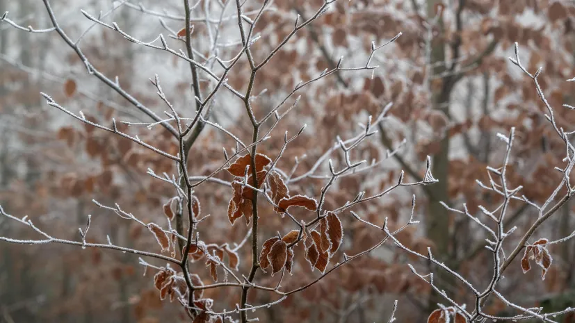 03.12.2024 PAP/Darek Delmanowicz