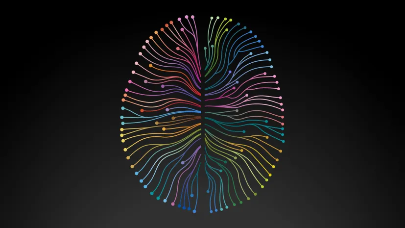 Fot. materiały prasowe