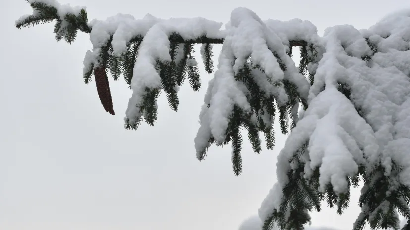 19.11.2022.  PAP/Adam Warżawa