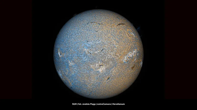 fot. materiały prasowe organizatora