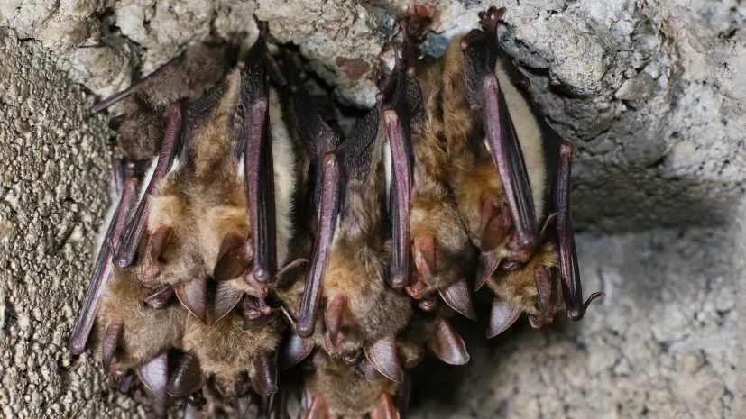 10.01.2026 PAP/Lech Muszyński