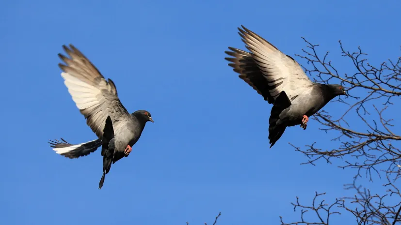 23.03.2026 PAP/Szymon Pulcyn