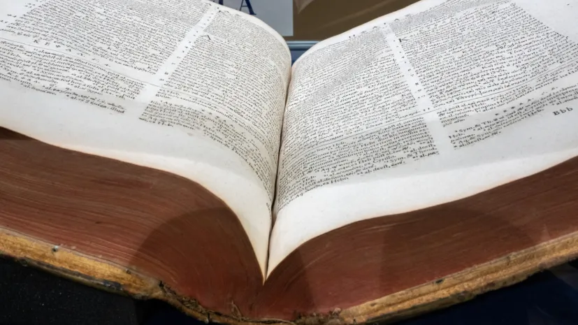 20.04.2026 PAP/Wojtek Jargiło