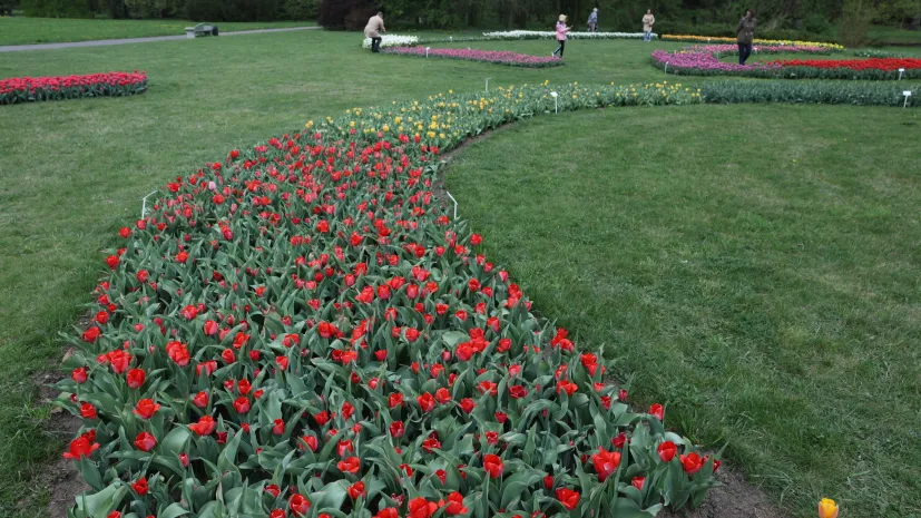 19.04.2025 PAP/Marian Zubrzycki