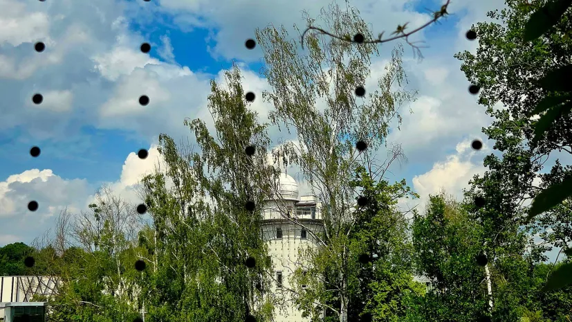 Fot. materiały prasowe UwB
