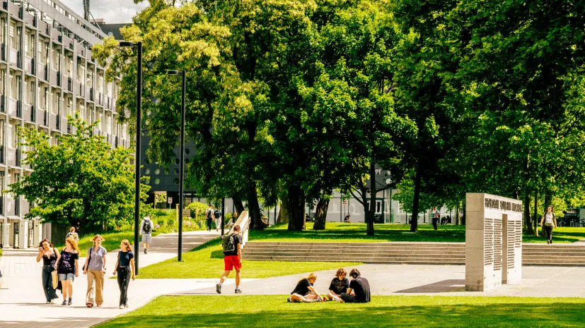 Fot. materiały prasowe Politechnika Wrocławska