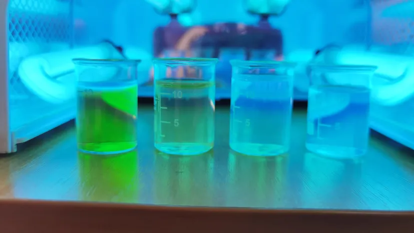 Grafenowe kropki kwantowe świecące pod wpływem światła UV. Fot. archiwum prywatne.